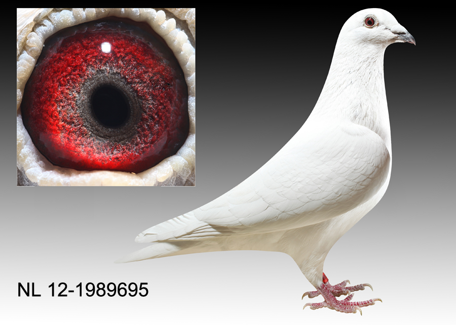 >> 查看拍卖商品