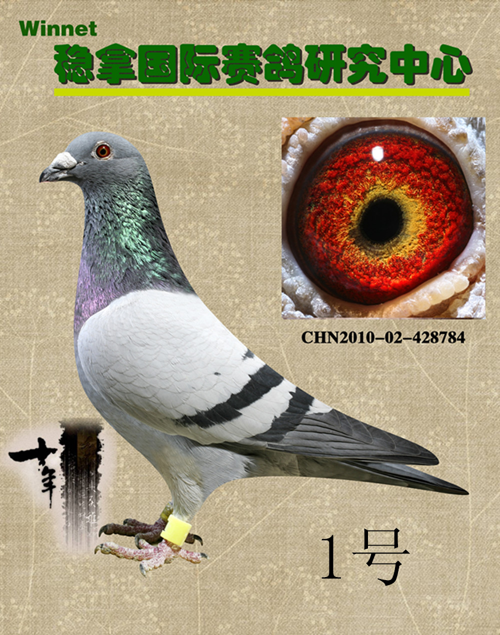 >> 查看拍卖商品