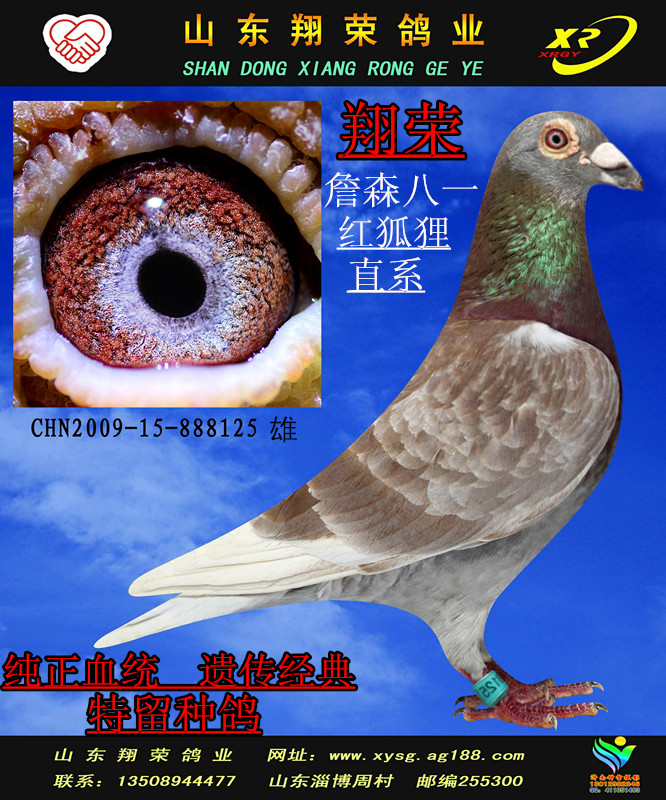 >> 查看拍卖商品