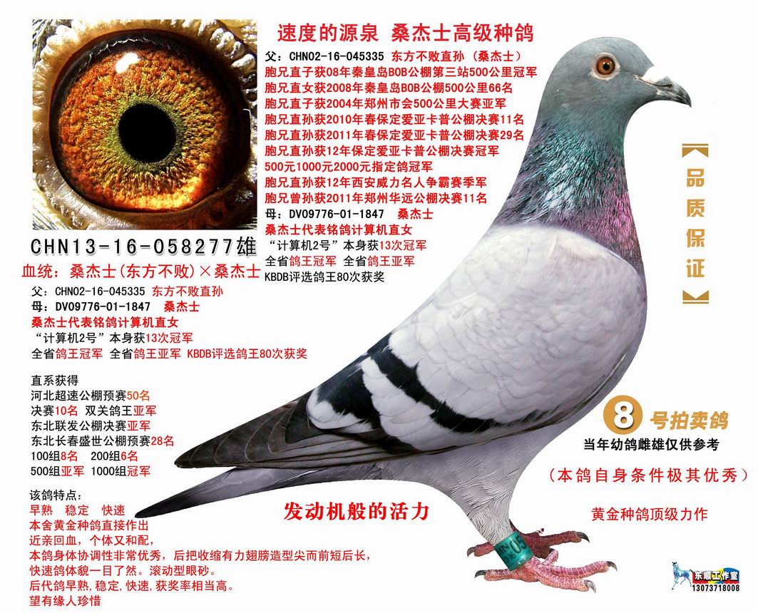 桑杰士(东方不败)×桑杰士 保证金级 拍卖