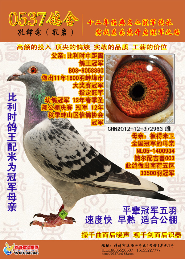 >> 查看拍卖商品