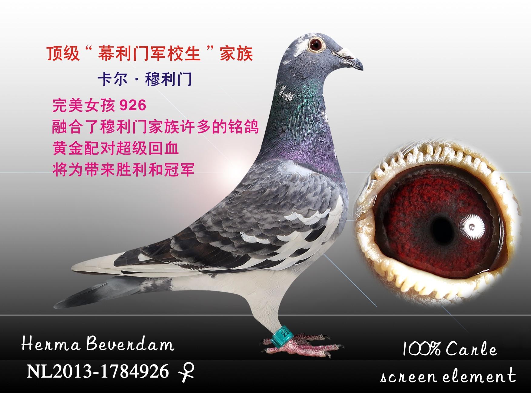 >> 查看拍卖商品