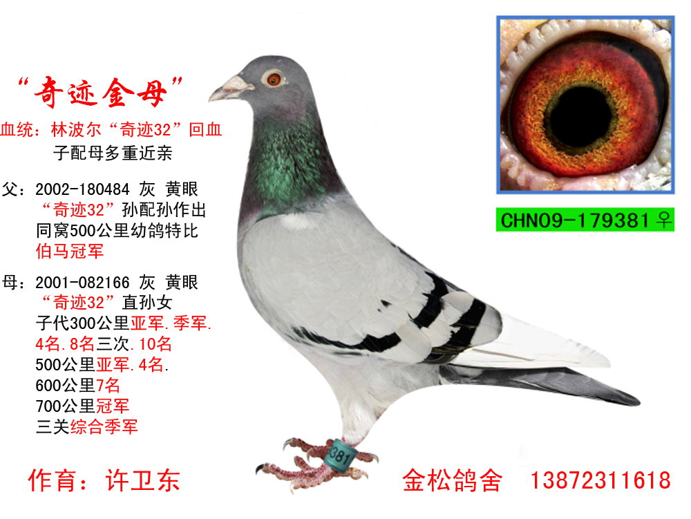 >> 查看拍卖商品