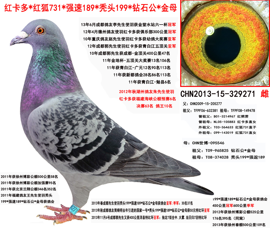 >> 查看拍卖商品
