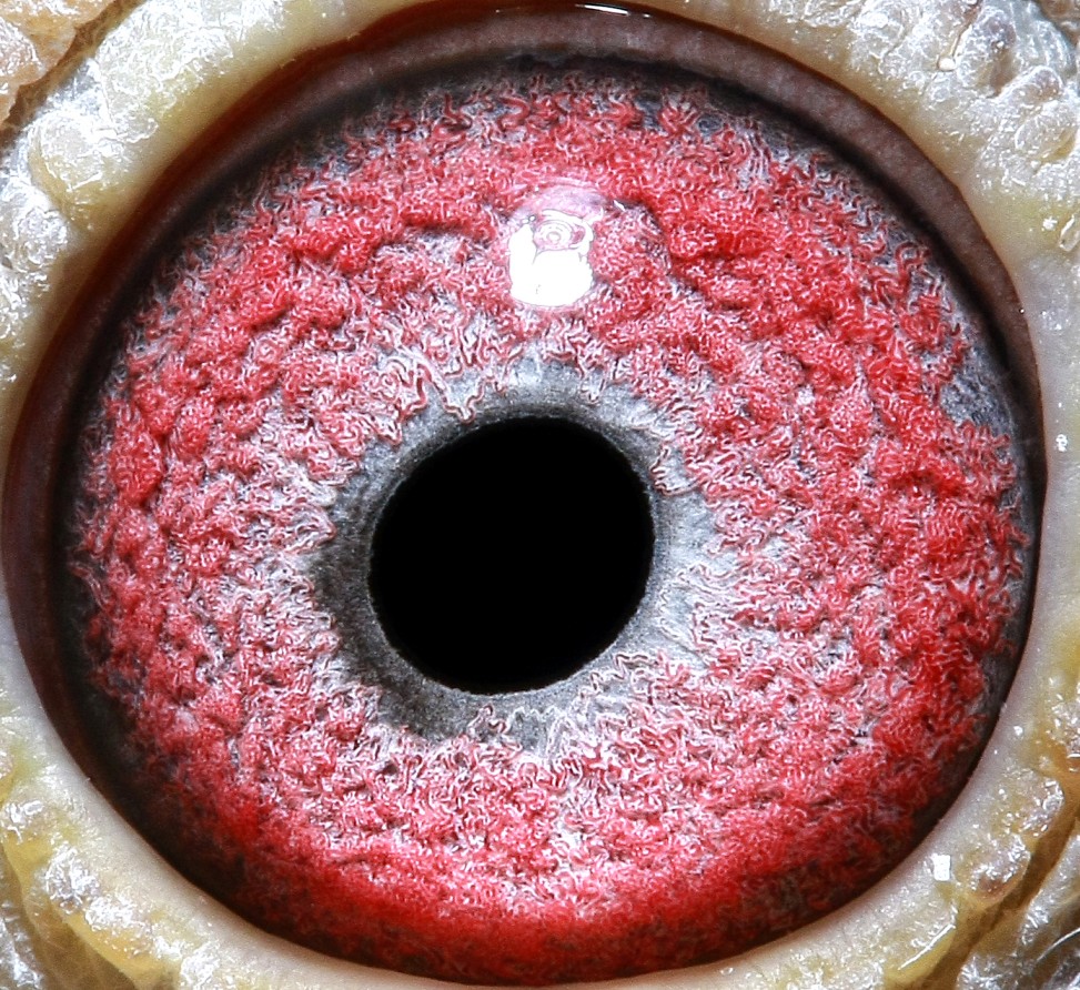 >> 查看拍卖商品