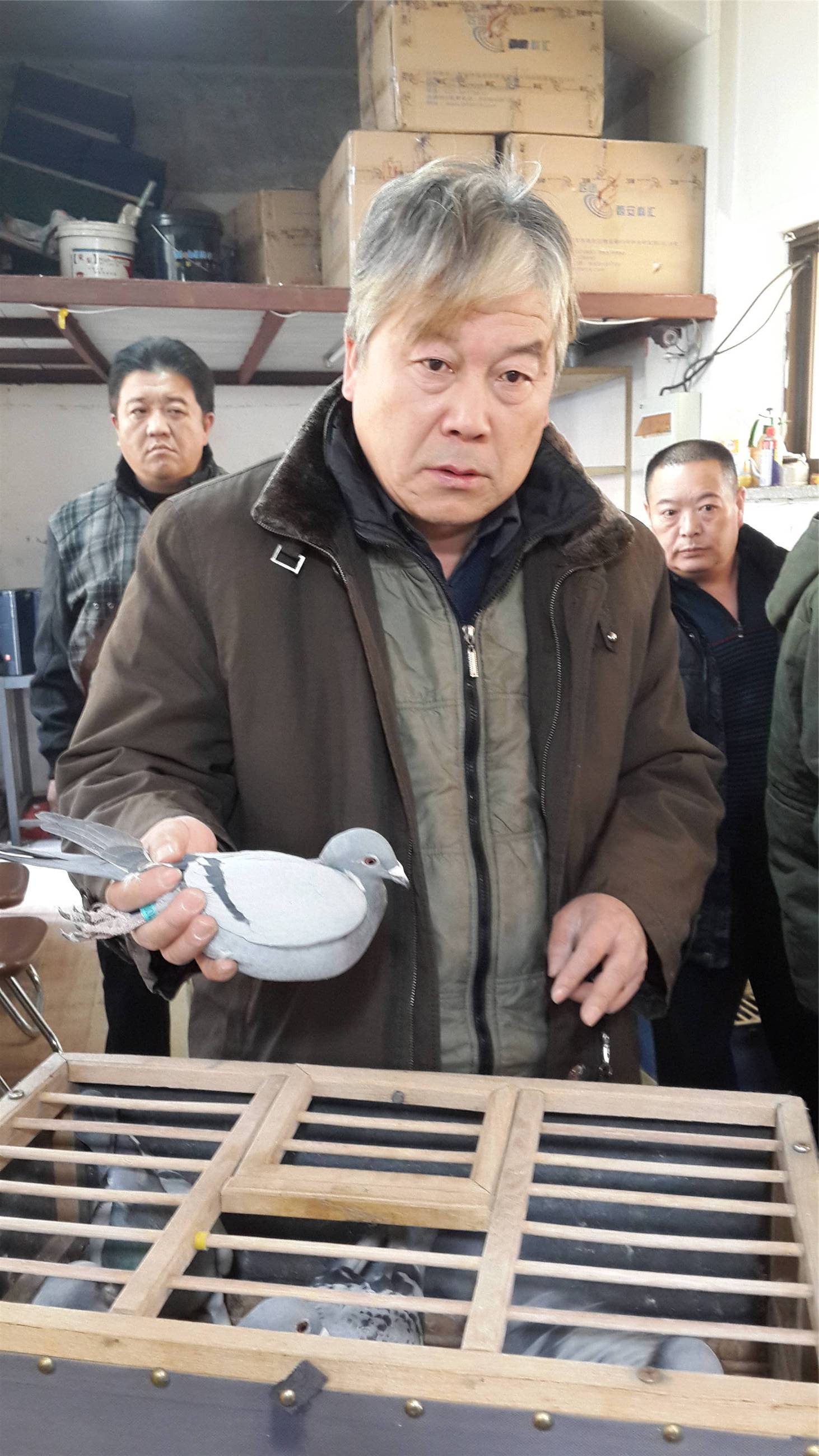 信鸽在线拍卖平台 - 中国信鸽信息网