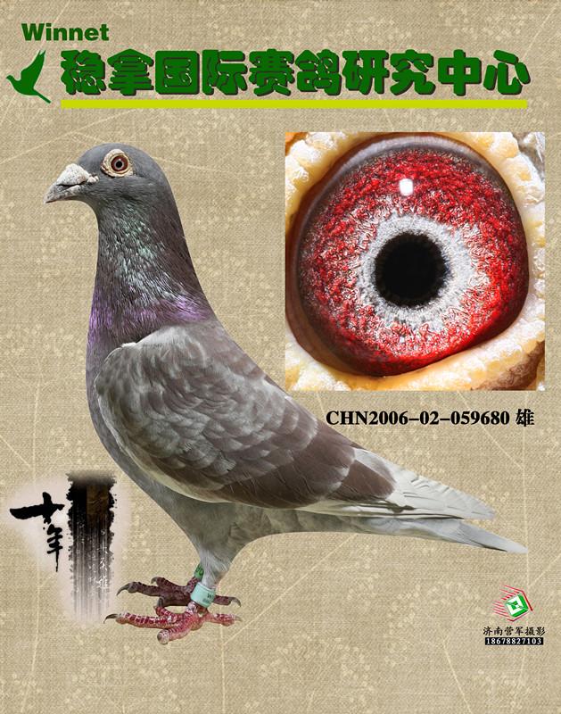 >> 查看拍卖商品