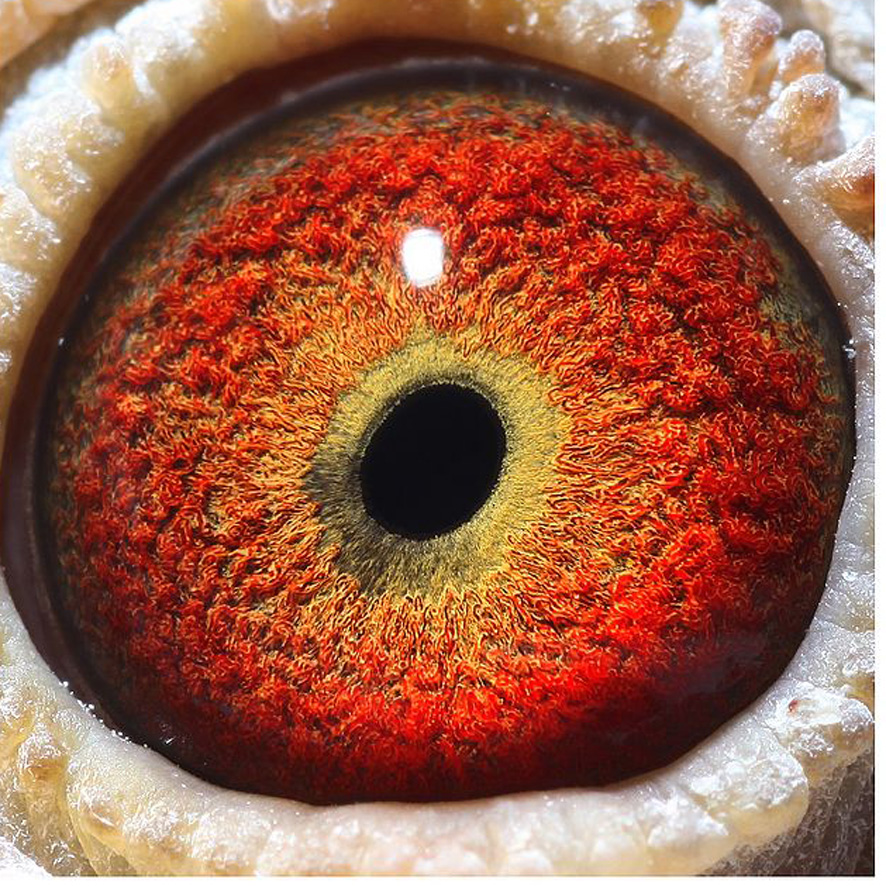 >> 查看拍卖商品