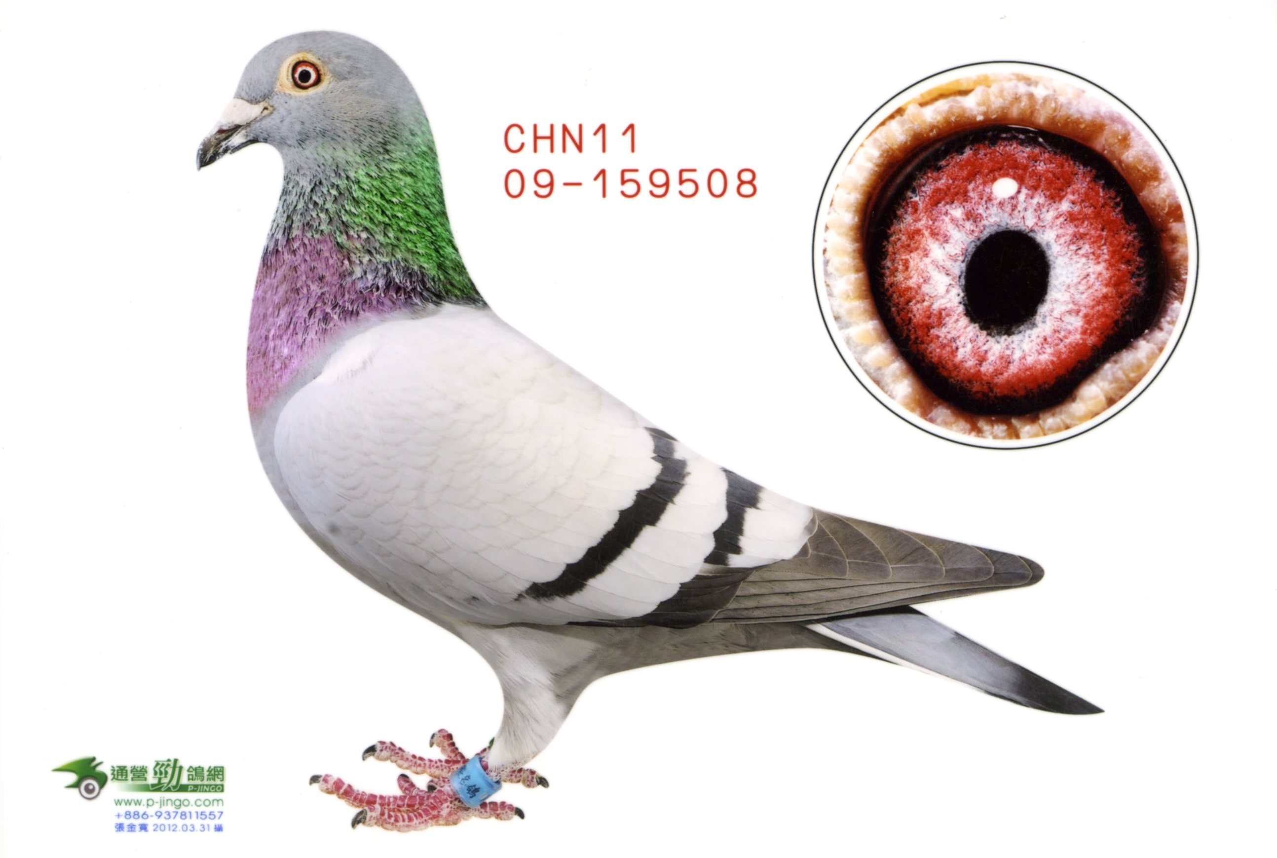 >> 查看拍卖商品