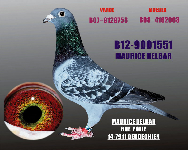 >> 查看拍卖商品