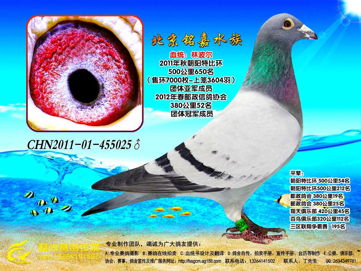 >> 查看拍卖商品