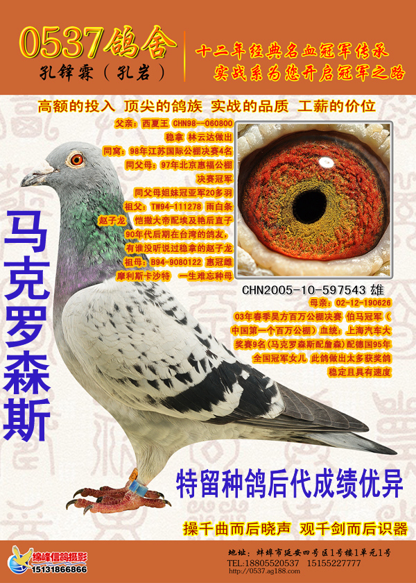 首 页  铭 鸽  新鸽上架  推荐铭鸽  定价鸽  信鸽拍卖 黄金配对