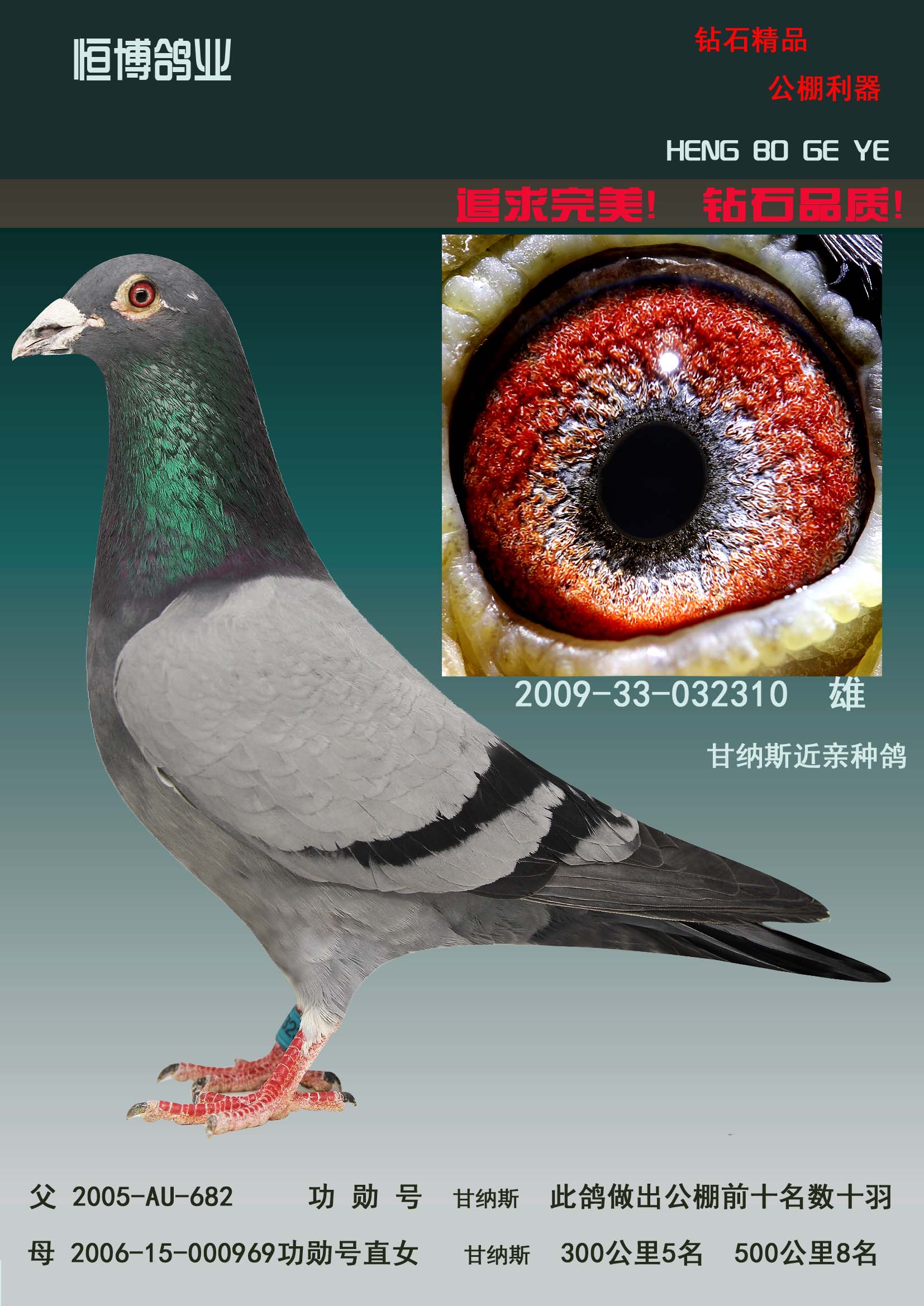 >> 查看拍卖商品