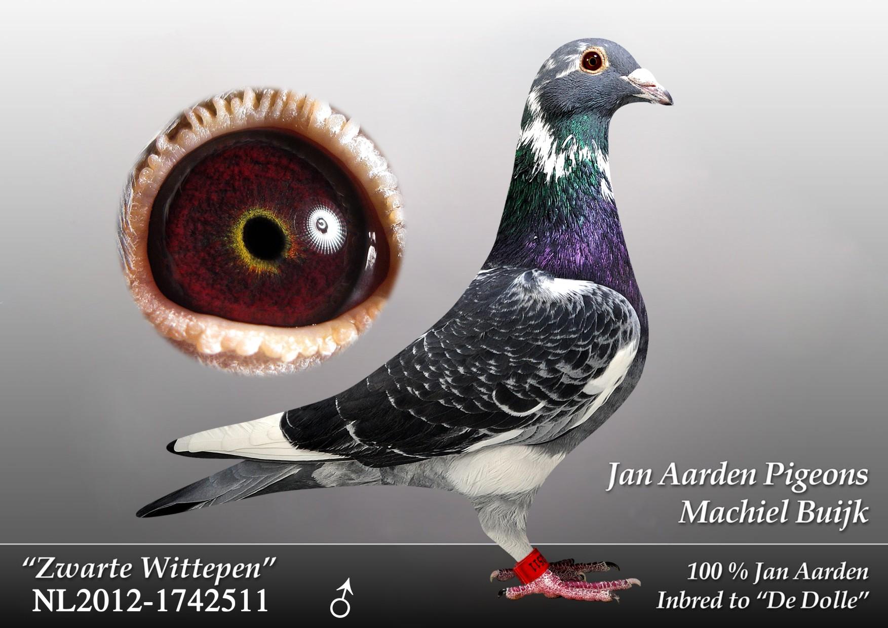 米歇尔.贝克-3 保证金级 拍卖