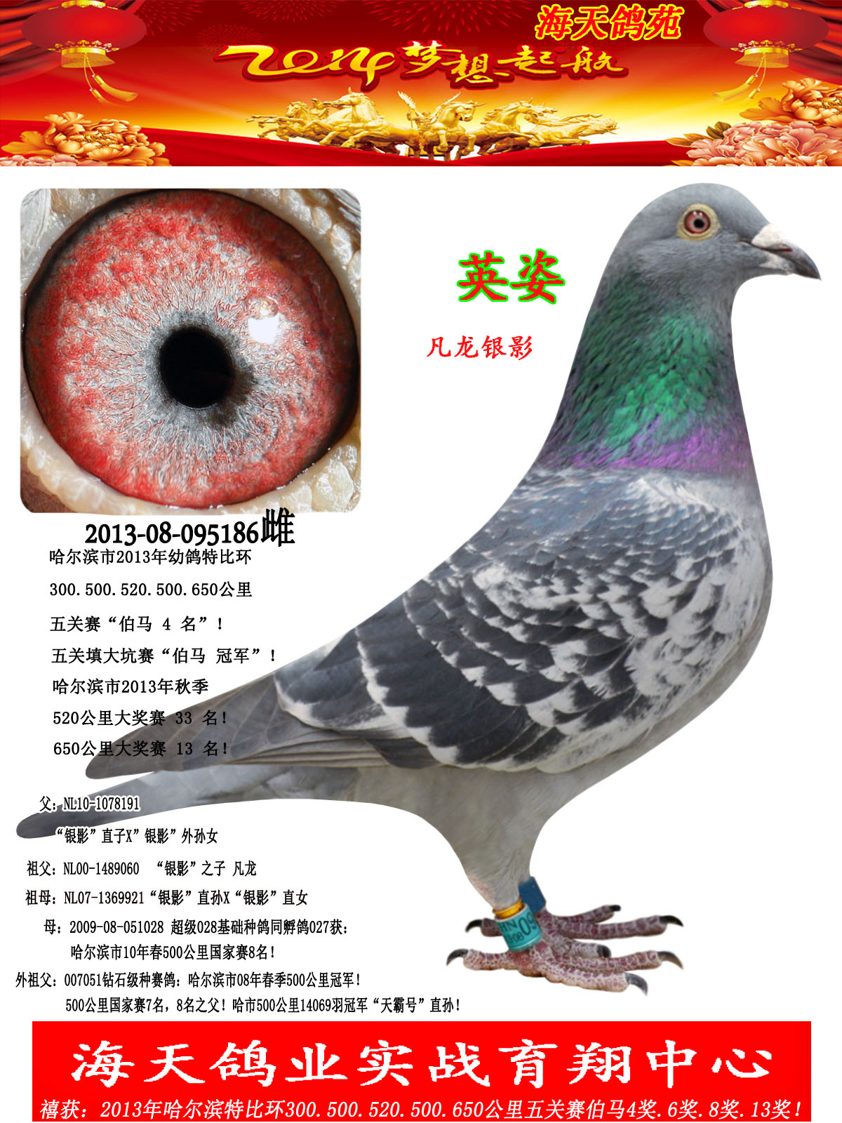 凡龙银影697 保证金级 拍卖