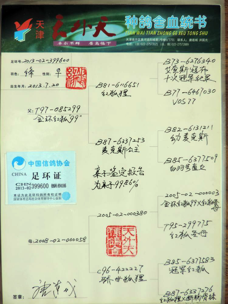 天津天外天种鸽舍 - 中信网铭鸽展厅 www.ag188.com