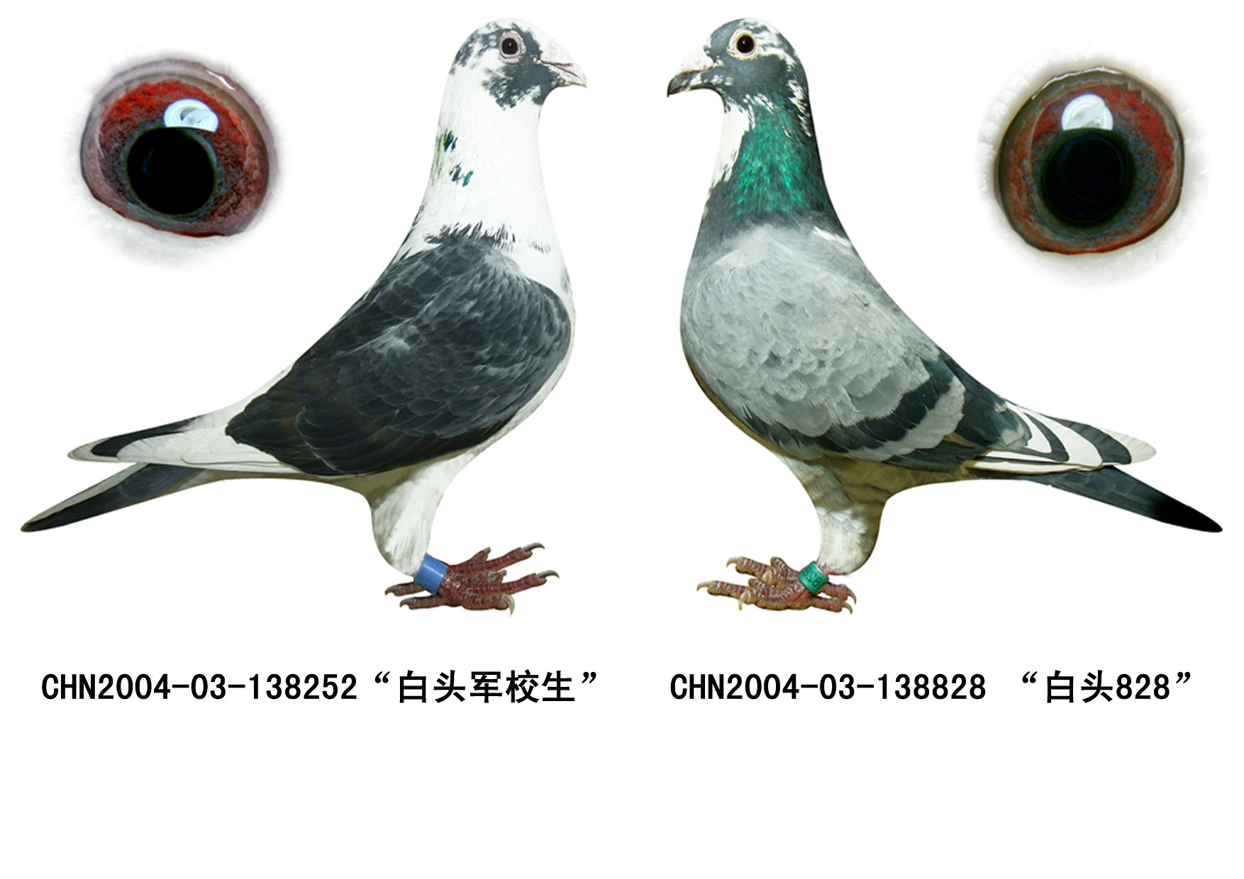 慕利门