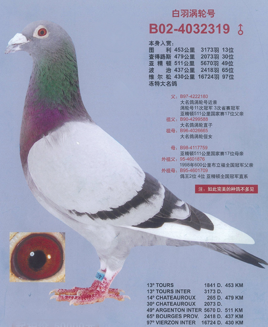 >> 查看拍卖商品