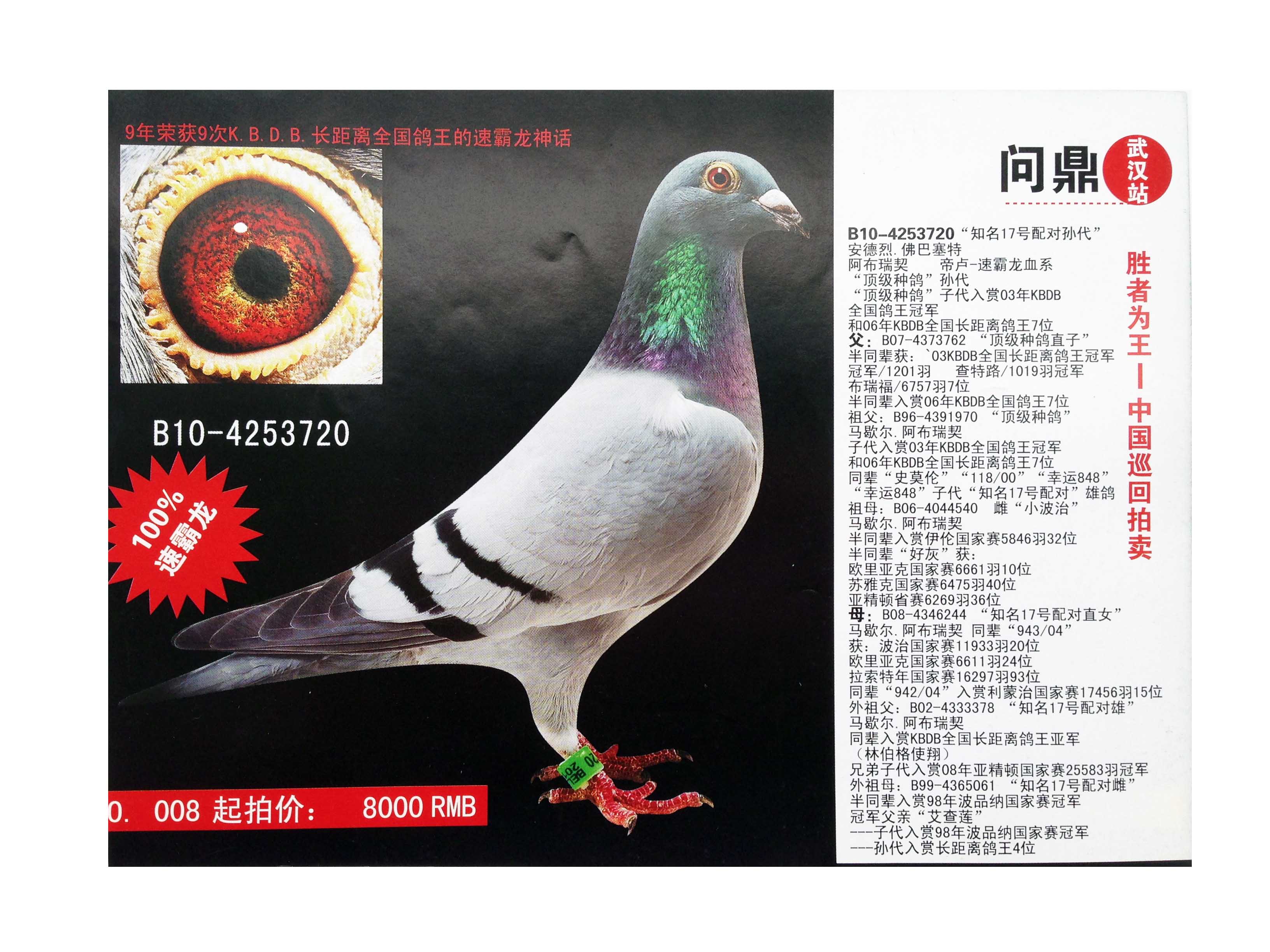 国家一号x速霸龙"知名17号配对孙代" 保证金级 拍卖