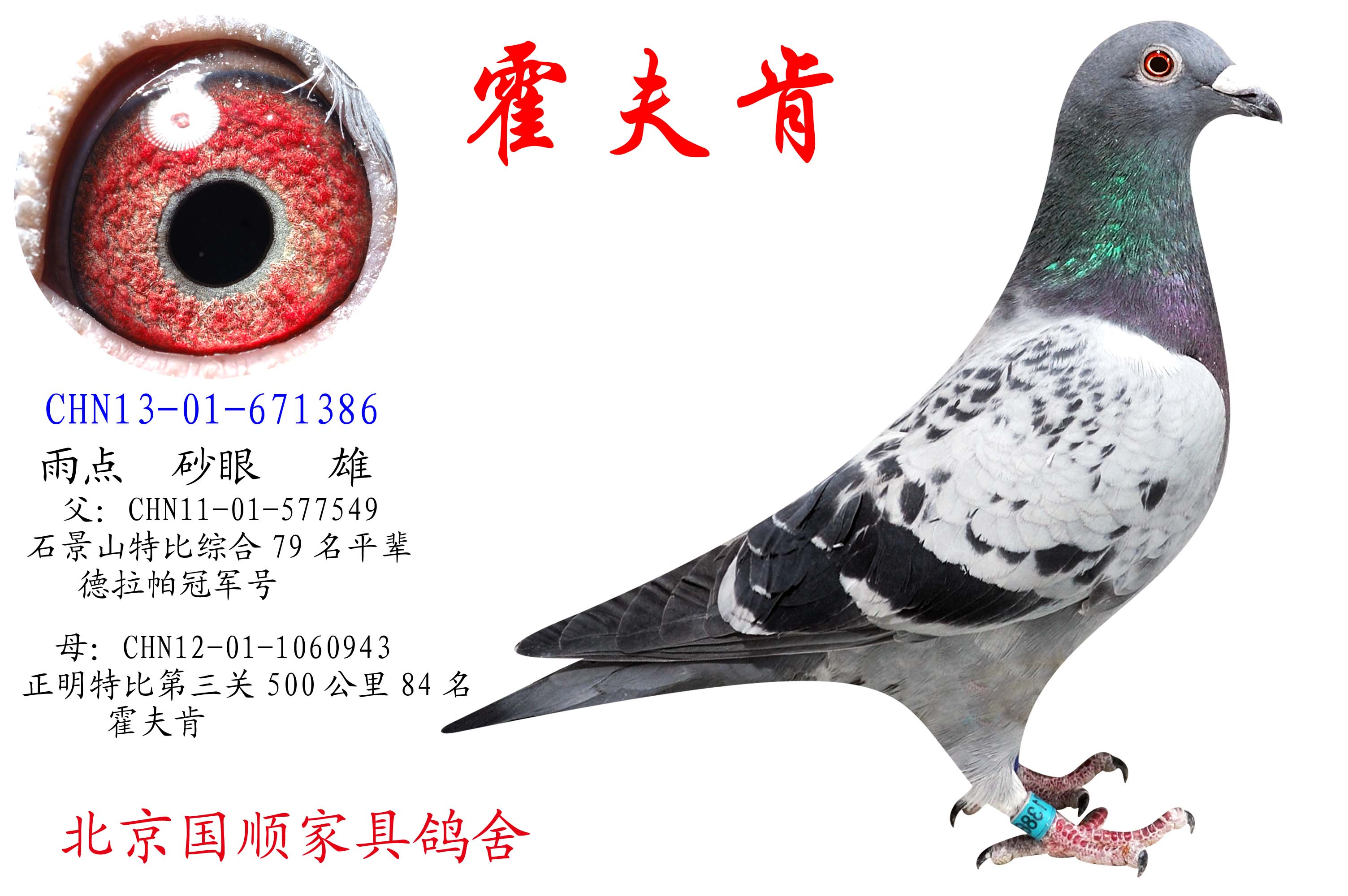 北京国顺家俱鸽舍