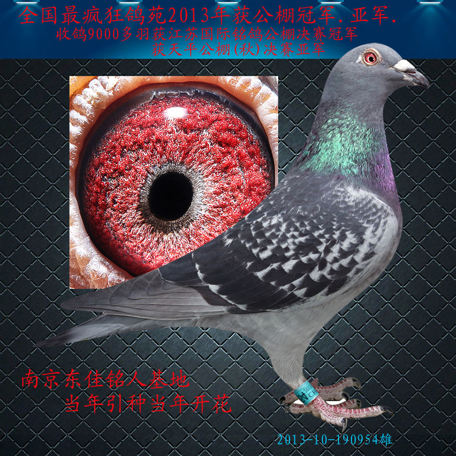 9 鸦片王近亲回血 保证金级 拍卖