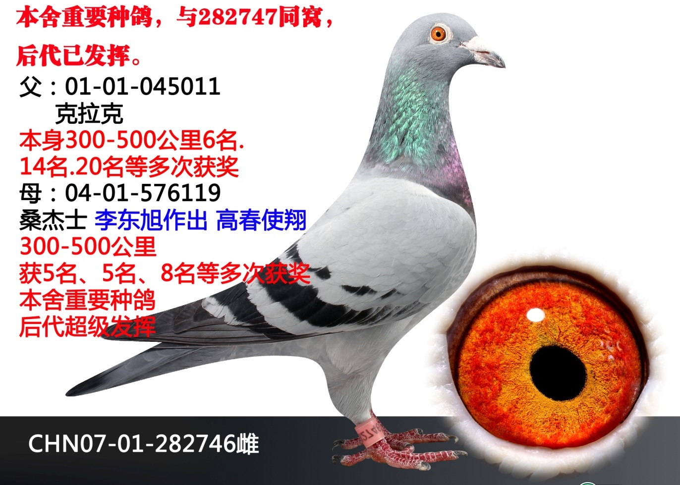 >> 查看拍卖商品