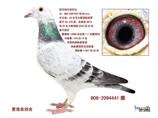 >> 查看拍卖商品