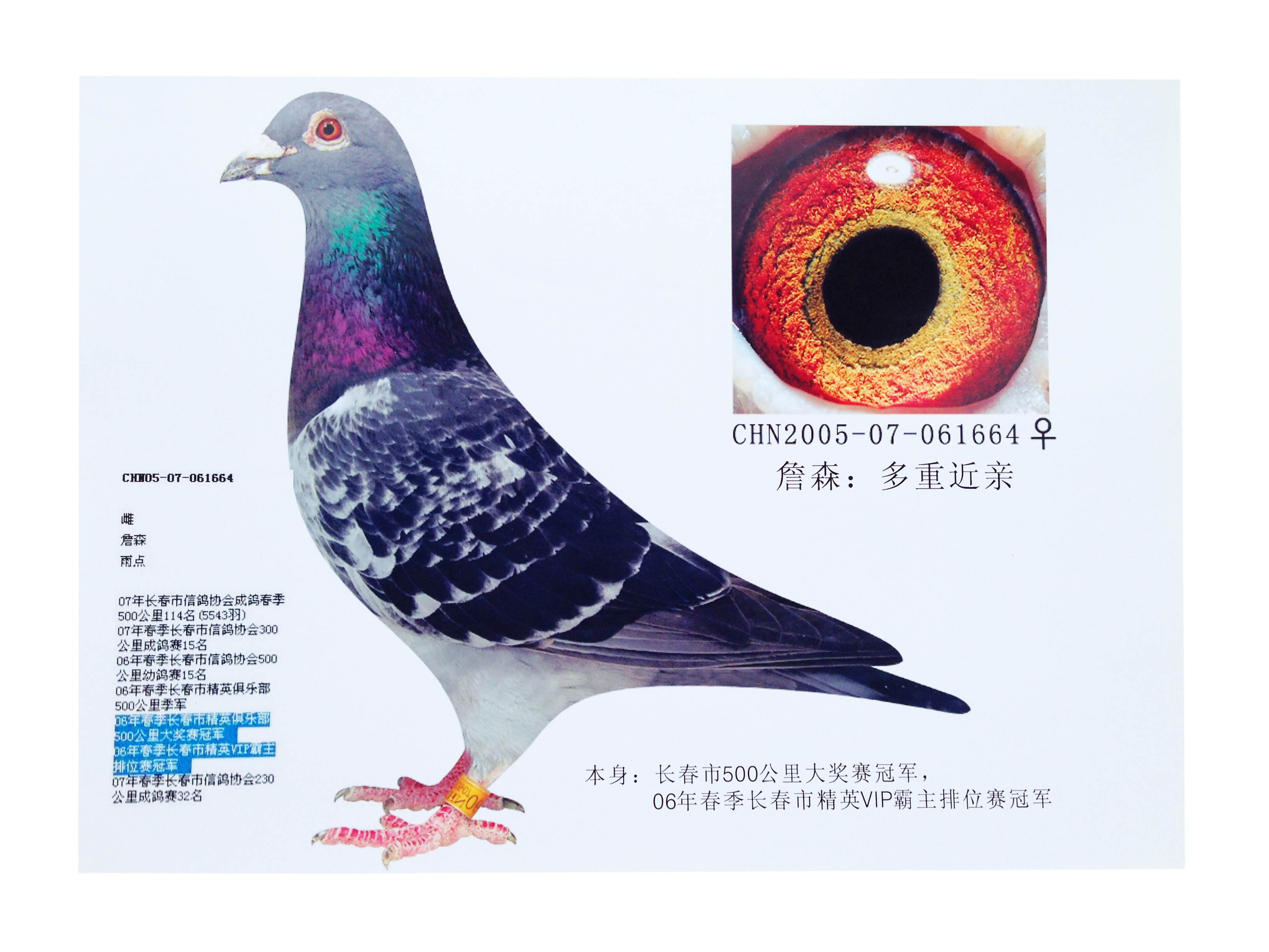 >> 查看拍卖商品
