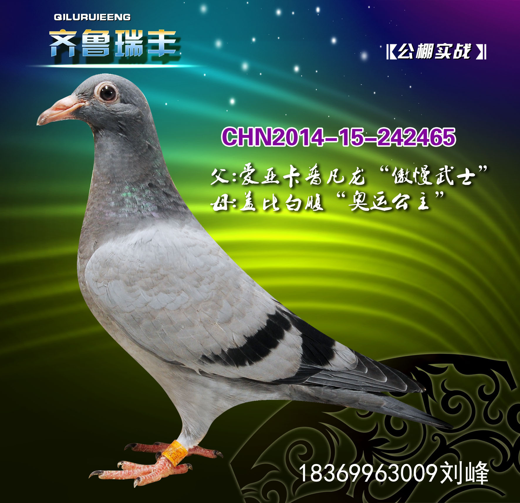 >> 查看拍卖商品