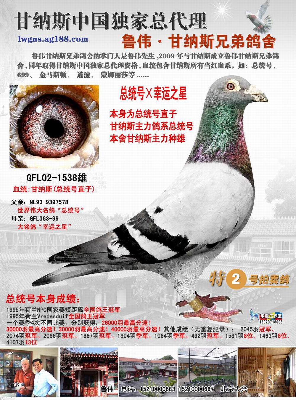 首 页  铭 鸽  新鸽上架  推荐铭鸽  定价鸽  信鸽拍卖 黄金配对
