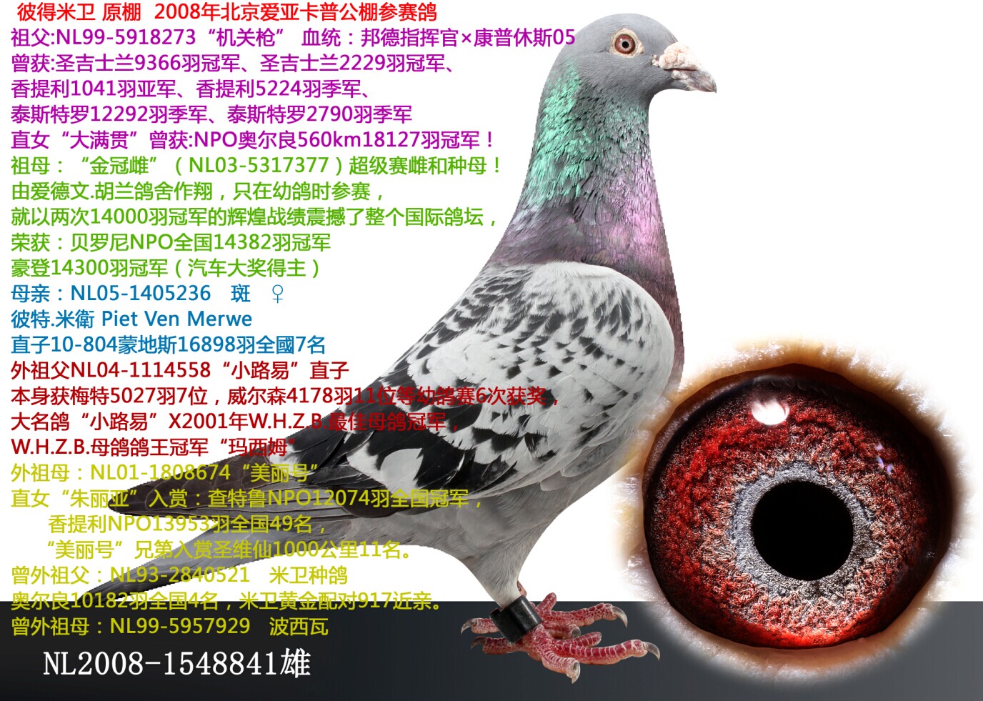 彼得米卫原棚8841 保证金级 拍卖
