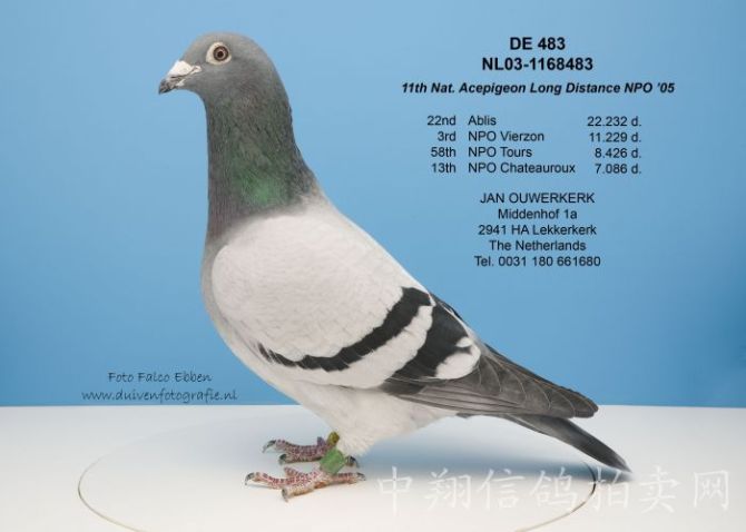 >> 查看拍卖商品