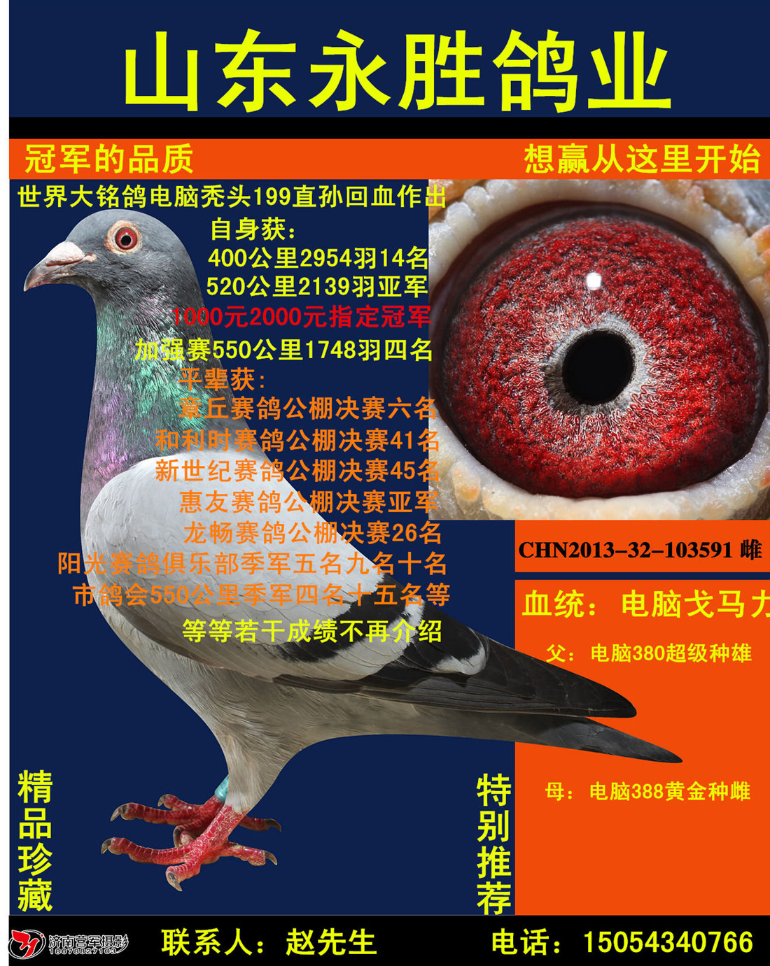 山东永胜联合鸽业 - 中信网铭鸽展厅 www.ag188.com