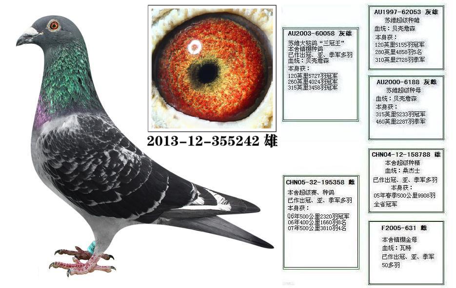 贝克詹森配桑杰士 保证金级 拍卖