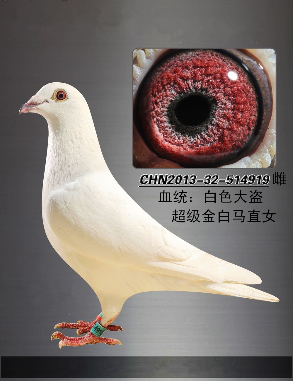 >> 查看拍卖商品