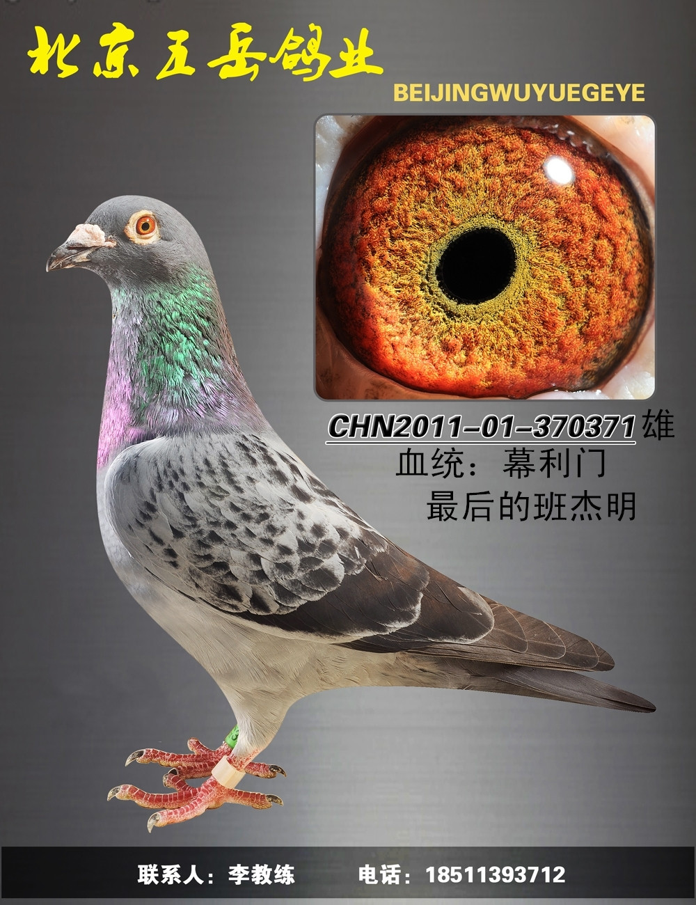 幕利门 保证金级 拍卖