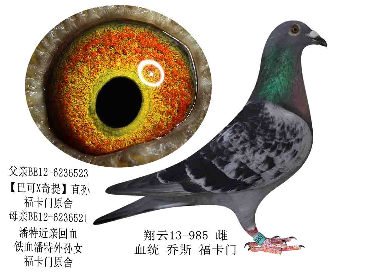 >> 查看拍卖商品