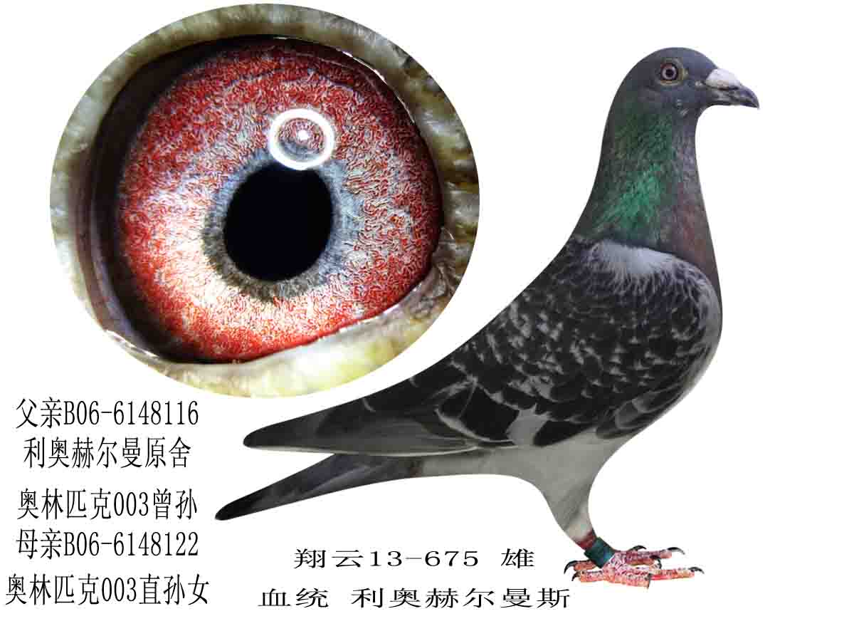 >> 查看拍卖商品