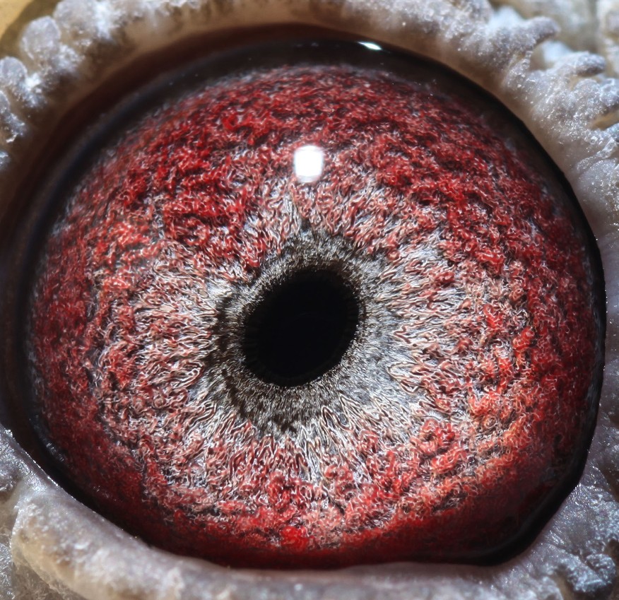 >> 查看拍卖商品