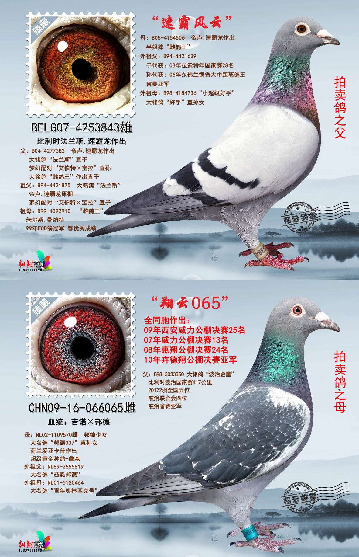 首 页  铭 鸽  新鸽上架  推荐铭鸽  定价鸽  信鸽拍卖 黄金配对