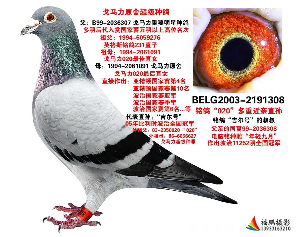 >> 查看拍卖商品