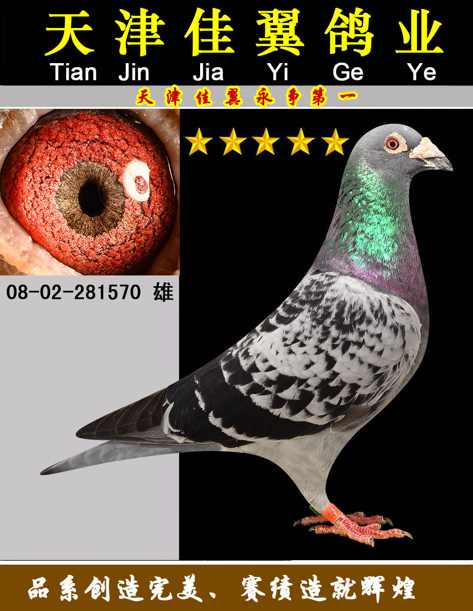 国家一号x飞戈 保证金级 拍卖