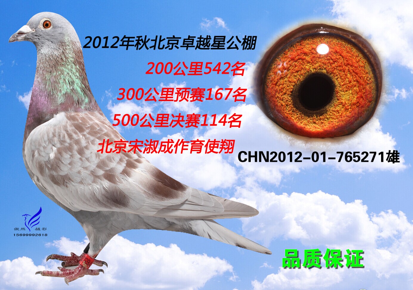北京信鸽文化传媒 - 中信网铭鸽展厅 www.ag188.com
