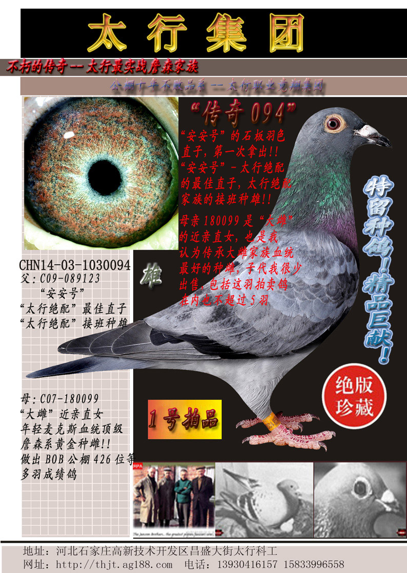 观看竞标过程 运输描述 ★12年秋同翔公棚500公里决赛冠军!