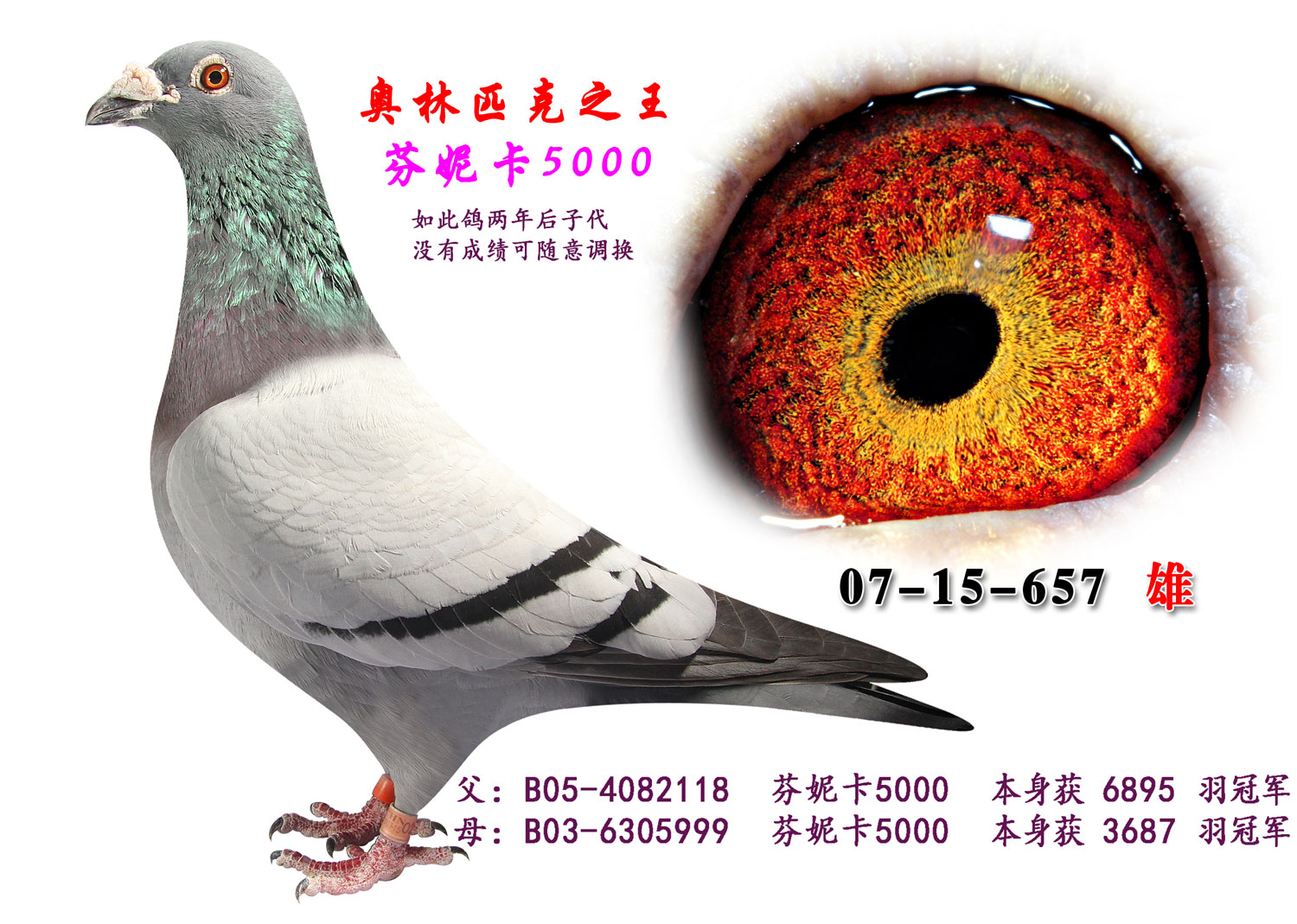 芬妮卡5000 保证金级 拍卖