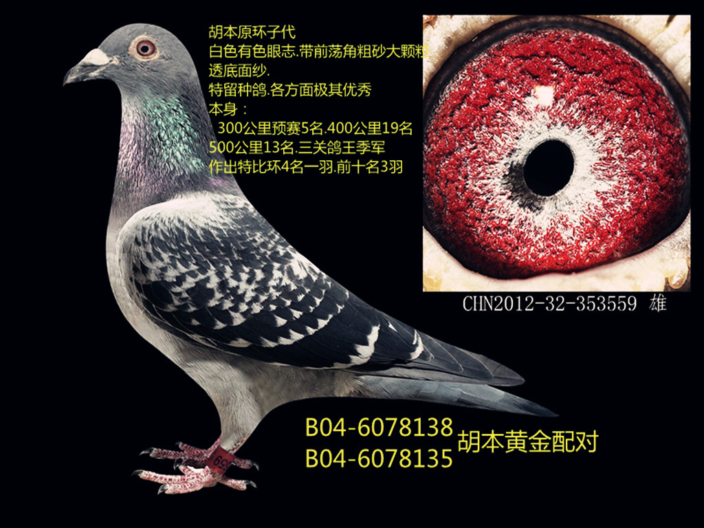 >> 查看拍卖商品