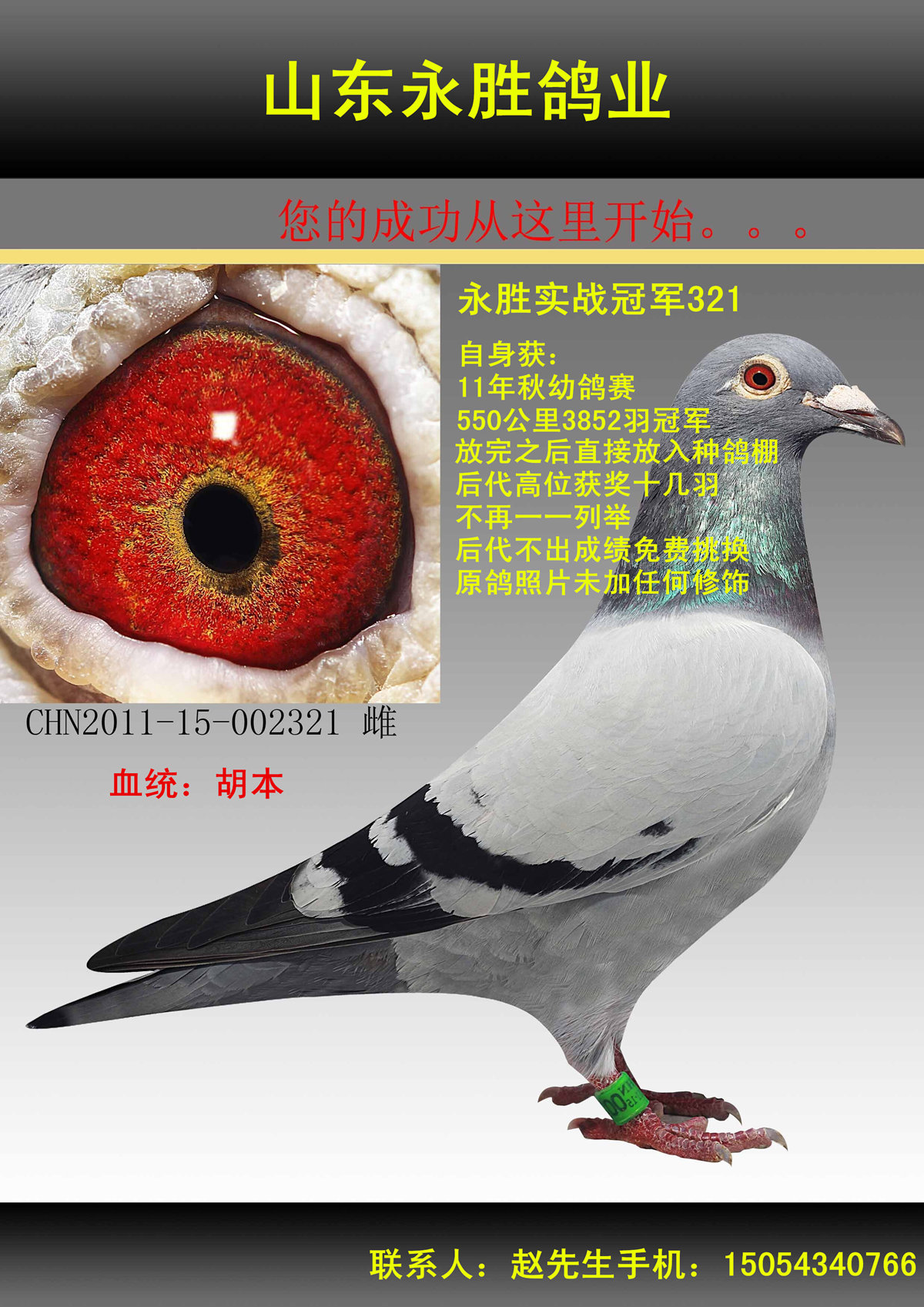 >> 查看拍卖商品