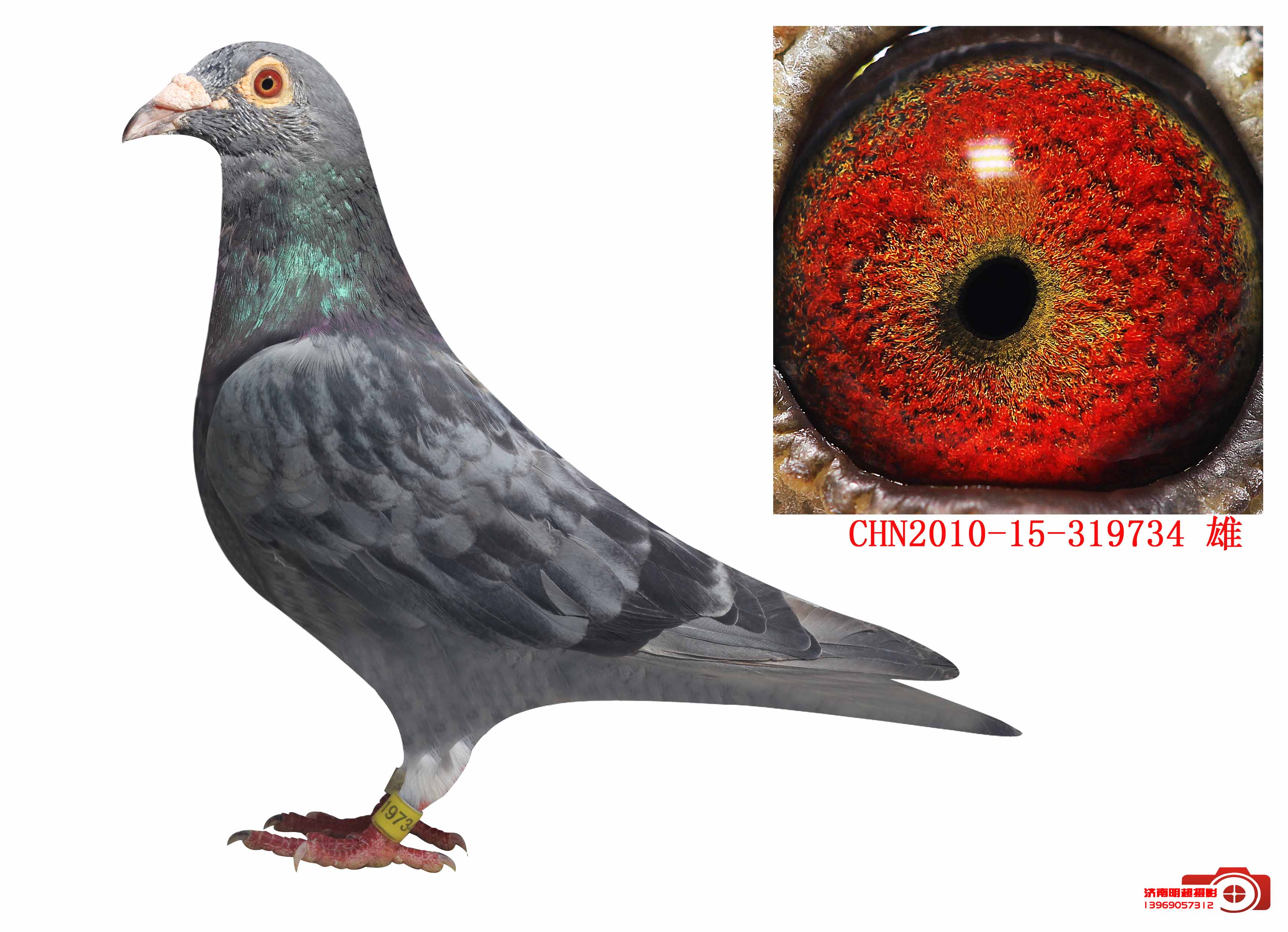 石板734 保证金级 拍卖