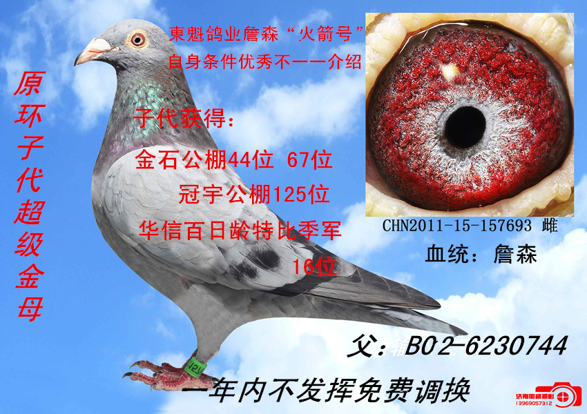 经典回顾东魁小火箭