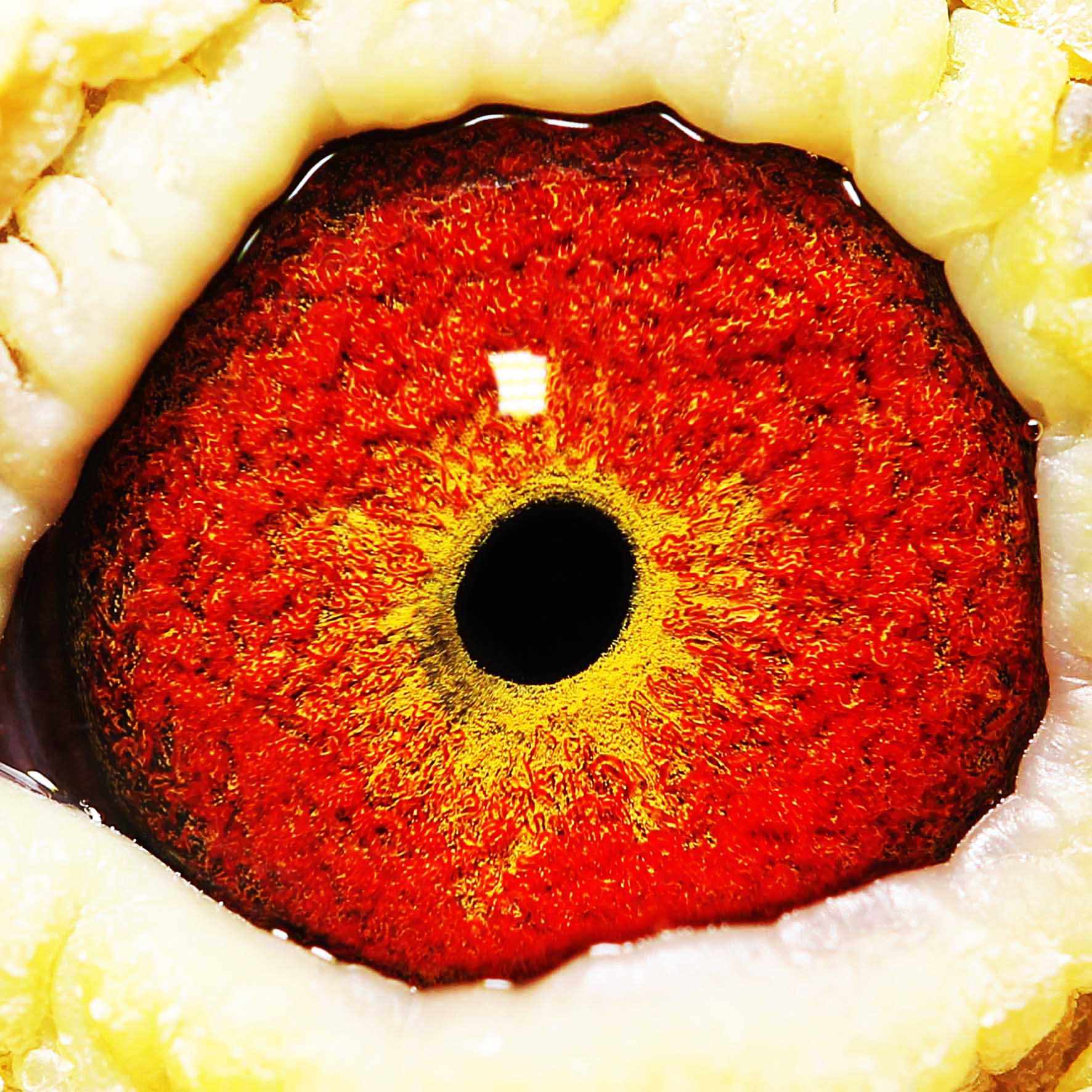 >> 查看拍卖商品